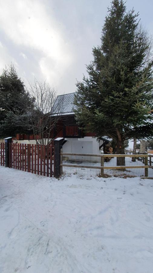 Chalet Individuel Les Sorbiers - 80M2 - Jardin - Barbecue - Wifi - Netflix - Ski & Randonnee - Pyrenees Catalanes Francaises - Eyne Exteriör bild
