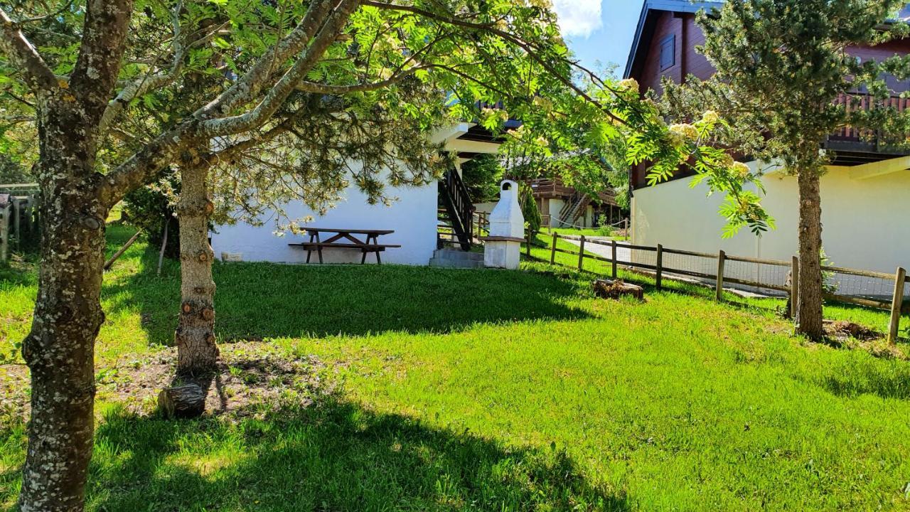 Chalet Individuel Les Sorbiers - 80M2 - Jardin - Barbecue - Wifi - Netflix - Ski & Randonnee - Pyrenees Catalanes Francaises - Eyne Exteriör bild